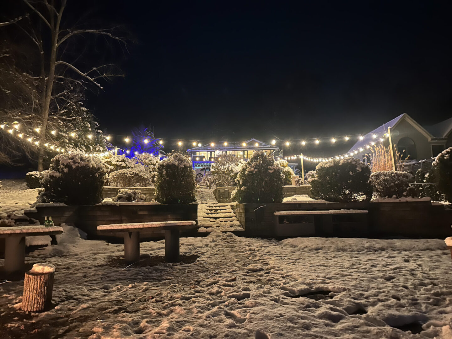 View of the house with lights and trees