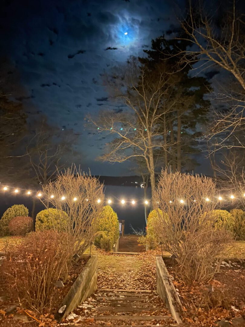 View of the lights in front of the house