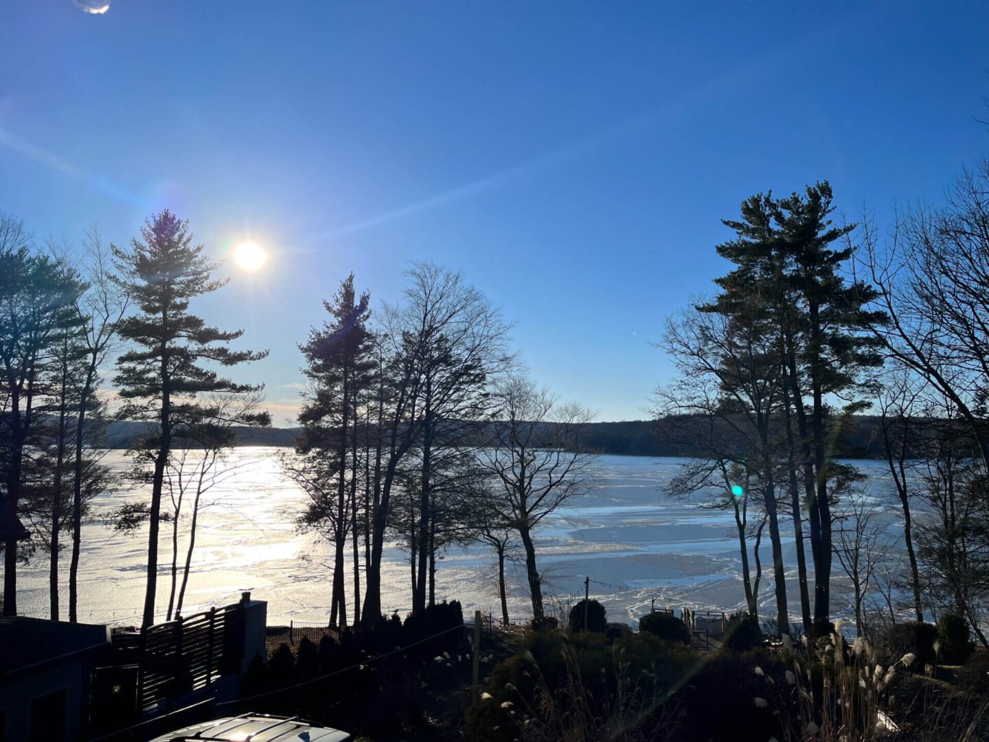 View of the river, sun rise and trees